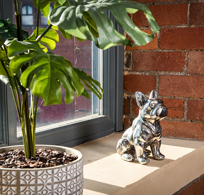 Bracken Workspace Plus 