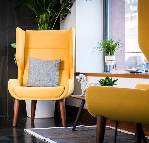 Yellow Reception Chairs - Bracken Ltd